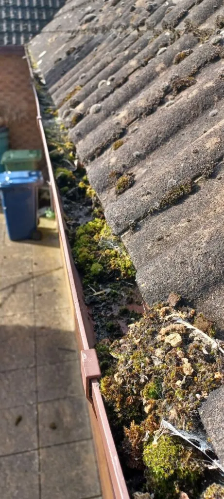 Before - Gutter clearing job 1