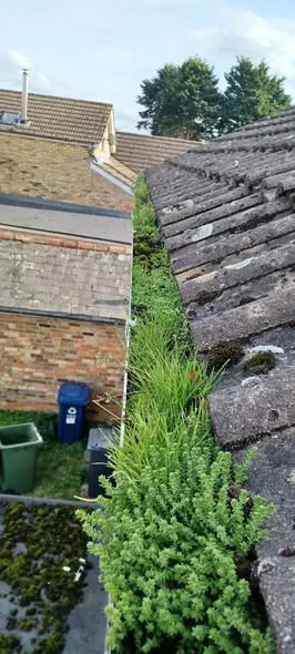 Before - Gutter clearing job 2