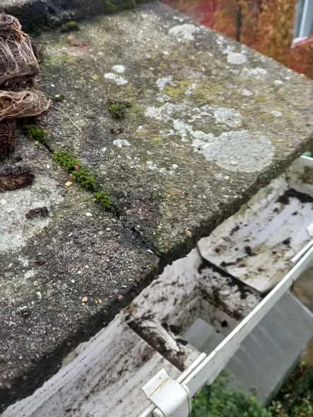 After - Gutter clearing job 3