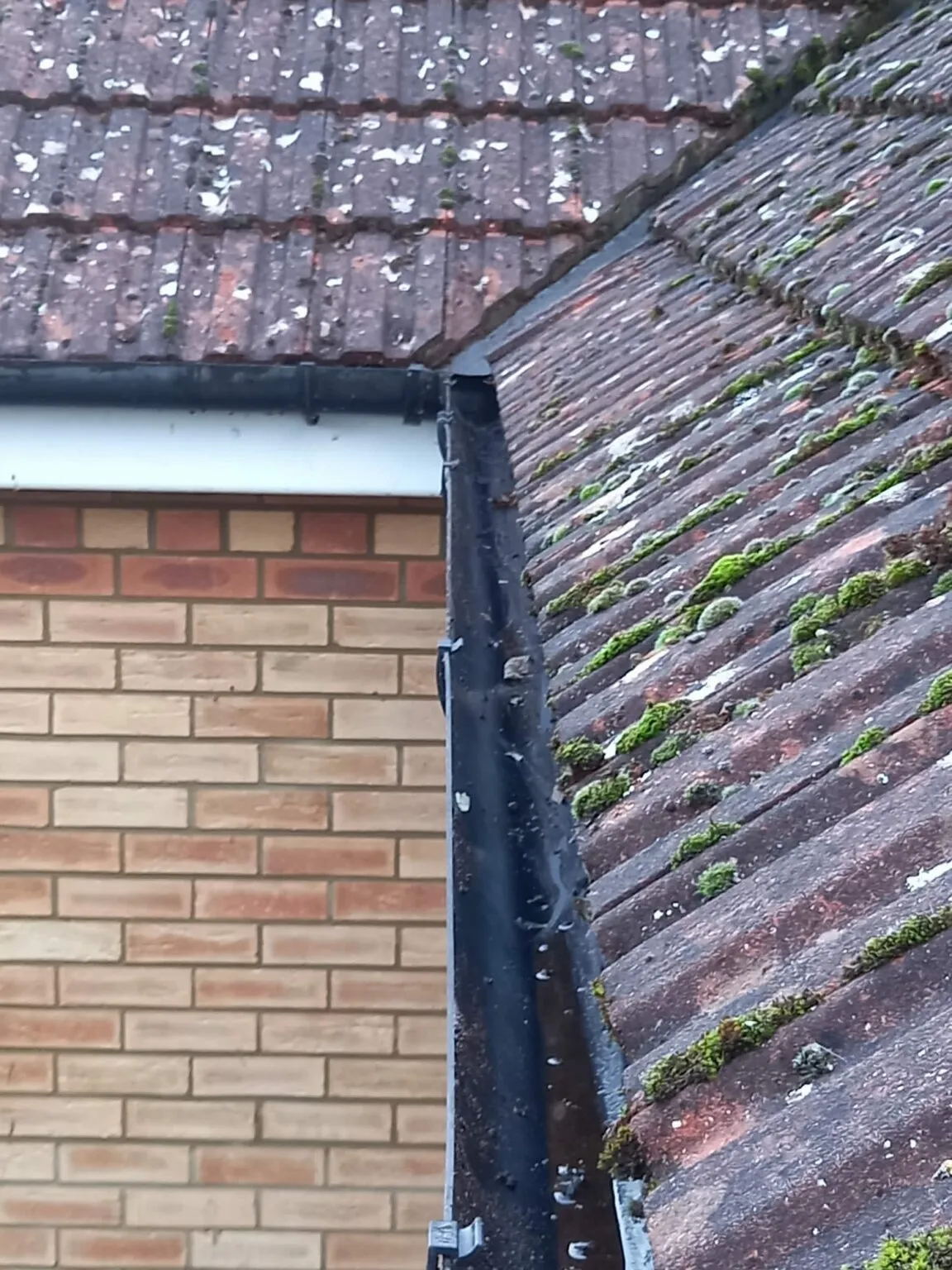 Clean gutter after clearing