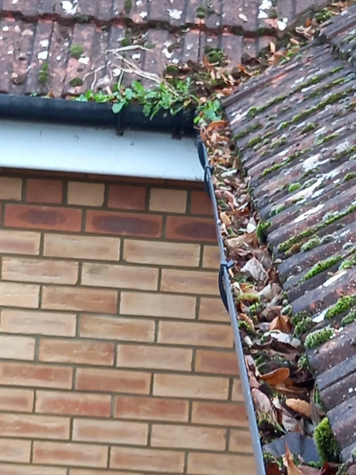 Blocked gutter before clearing